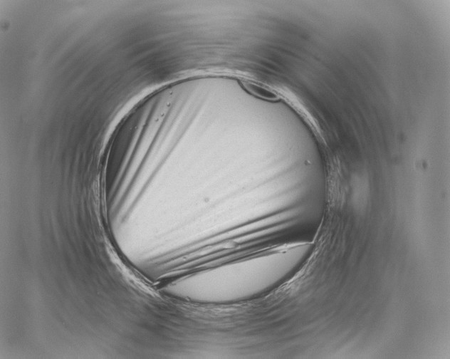 X0000059081100200510211535