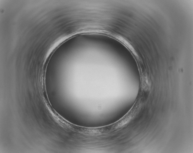 X0000059081101200510211535