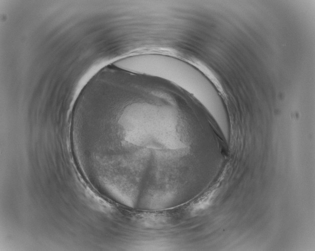 X0000059081102200510211535