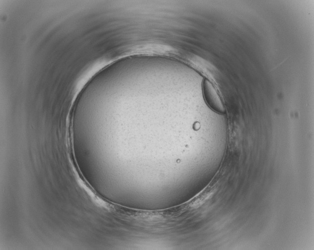 X0000059081103200510211535