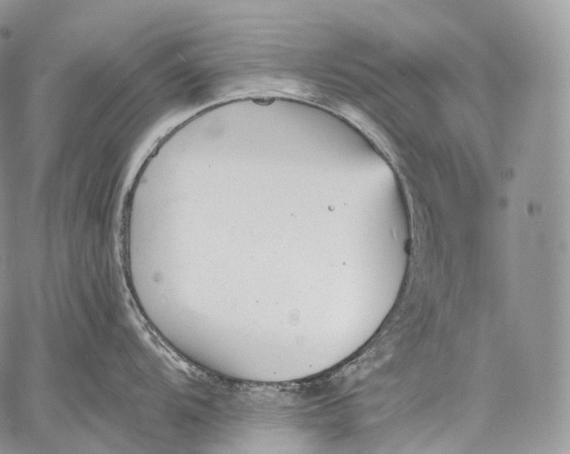 X0000059081104200510211535