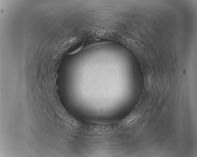 X0000059081105200510211535