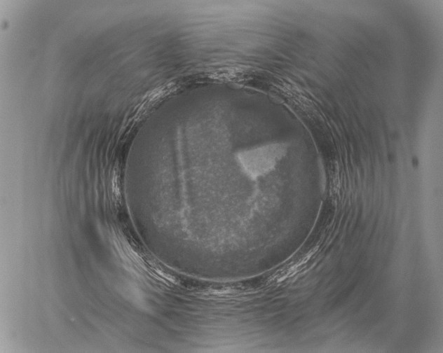 X0000059081106200510211535