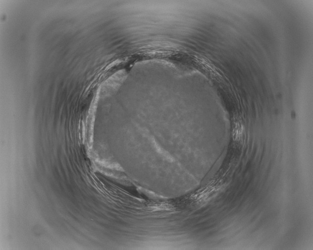 X0000059081108200510211535