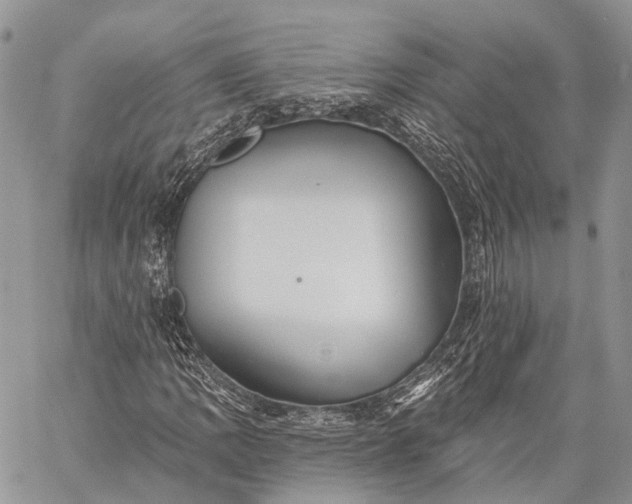 X0000059081109200510211535