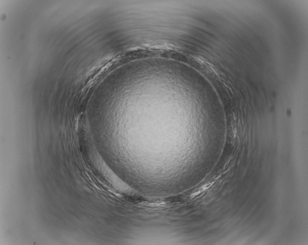 X0000059081110200510211535