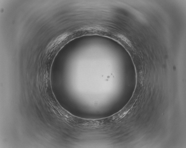 X0000059081111200510211535