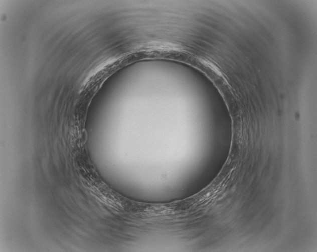 X0000059081112200510211535