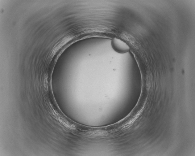 X0000059081113200510211535