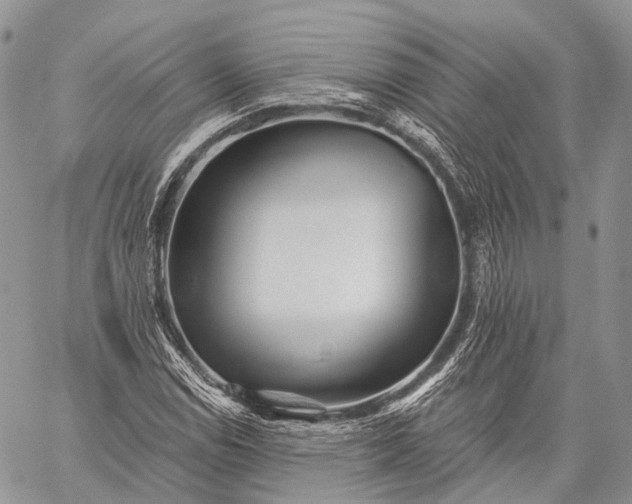 X0000059081114200510211535