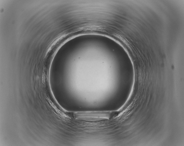 X0000059081115200510211535