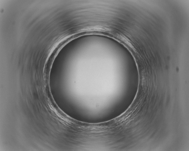 X0000059081116200510211535