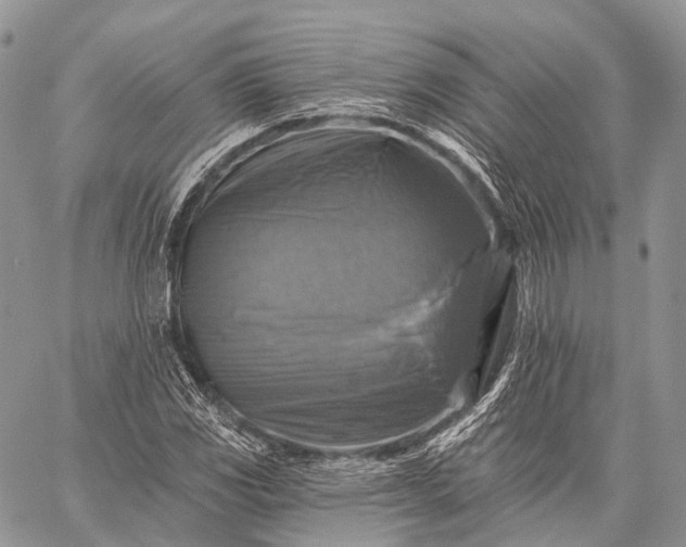 X0000059081117200510211535