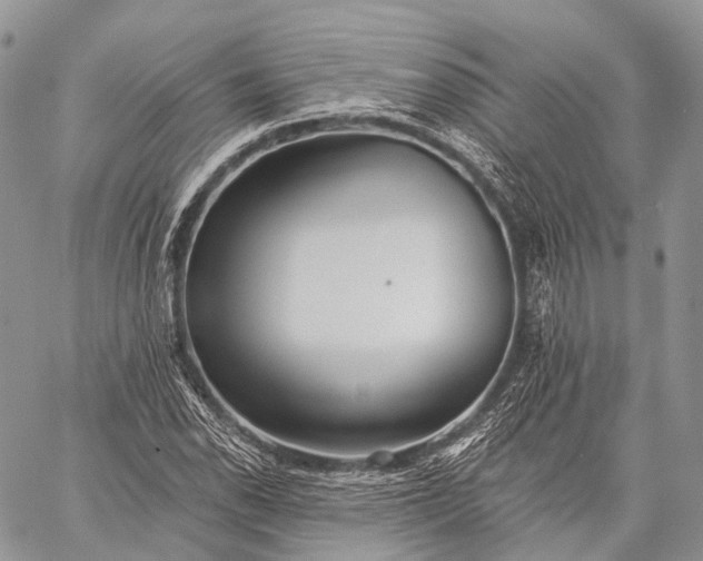 X0000059081118200510211535