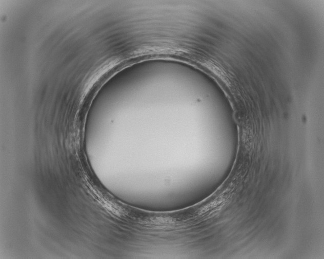 X0000059081119200510211535