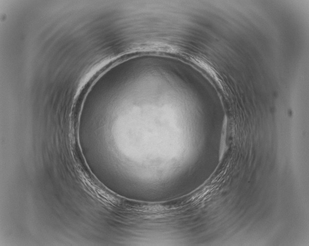 X0000059081120200510211535