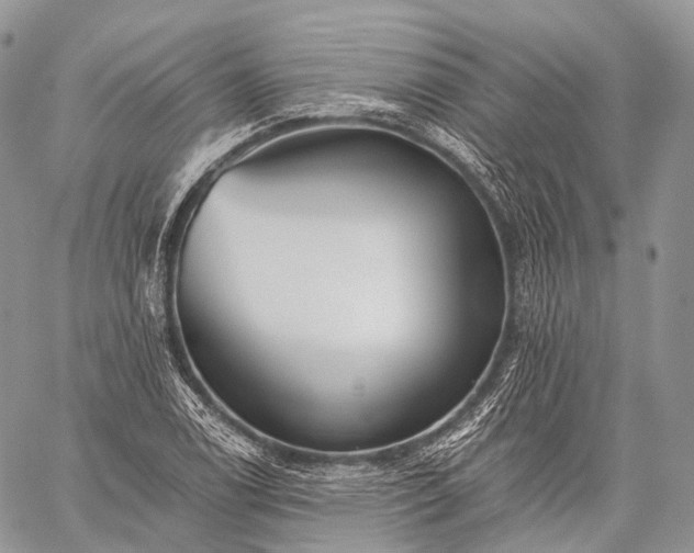 X0000059081122200510211535