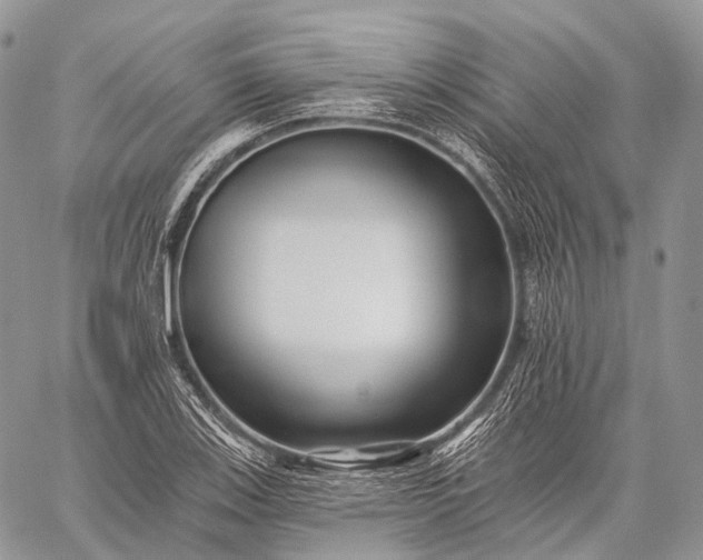 X0000059081123200510211535