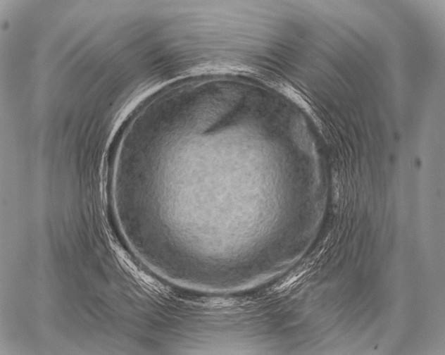 X0000059081124200510211535