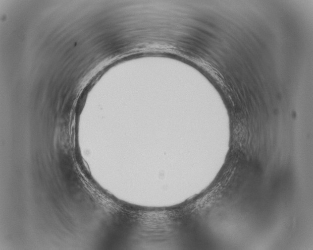 X0000059081126200510211535