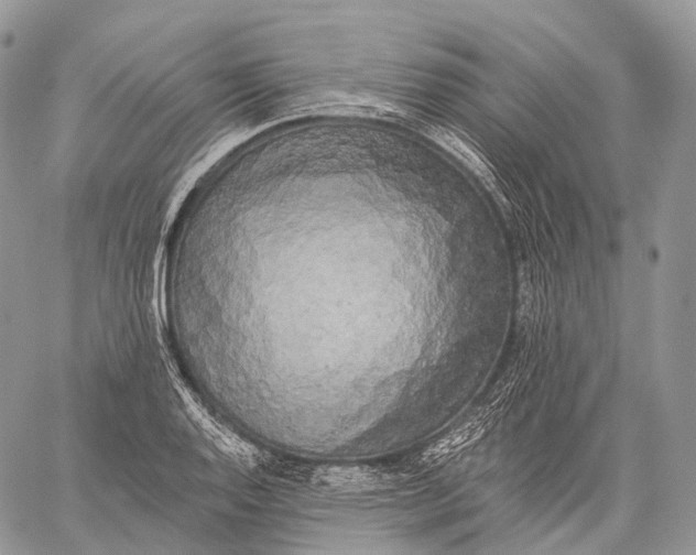 X0000059081128200510211535