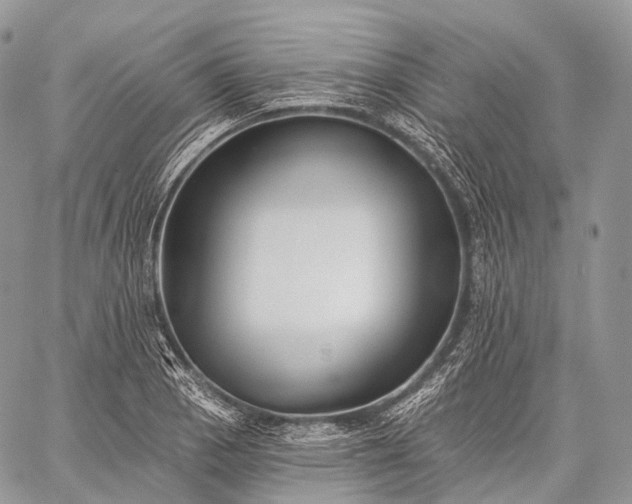 X0000059081129200510211535