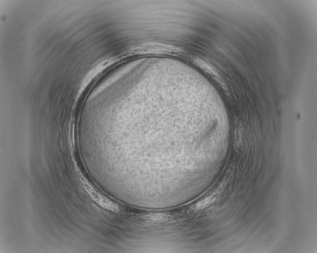 X0000059081130200510211535