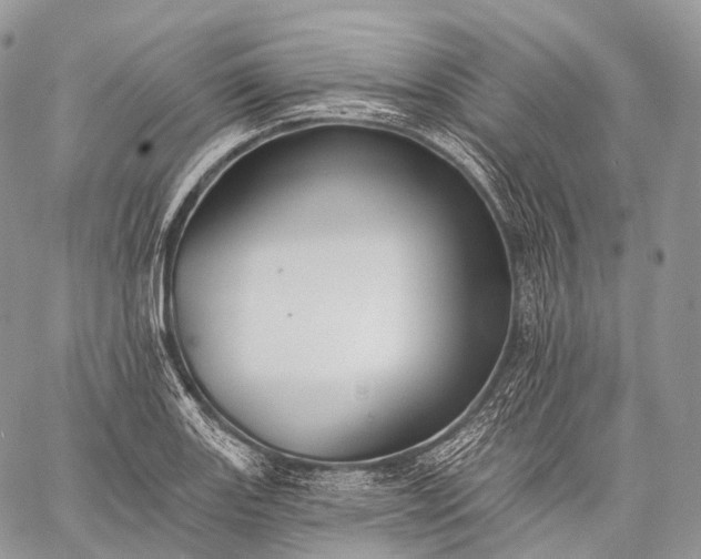 X0000059081131200510211535