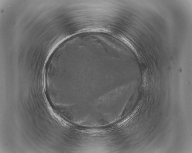 X0000059081132200510211535