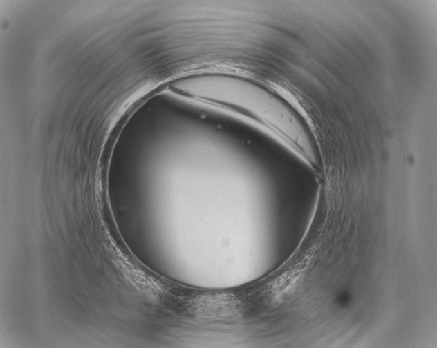 X0000059081133200510211535