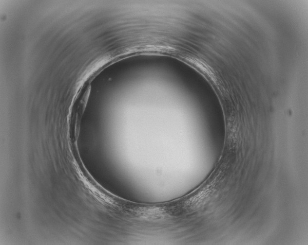 X0000059081135200510211535