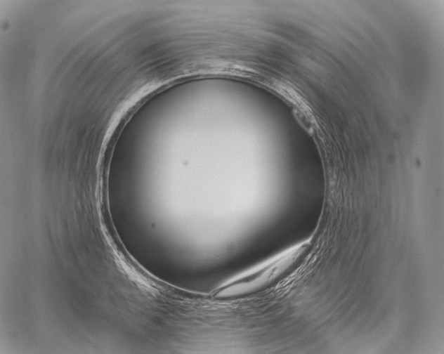 X0000059081136200510211535