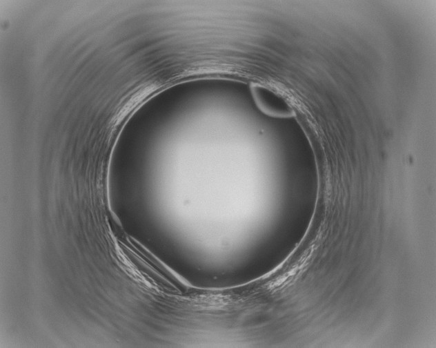 X0000059081137200510211535