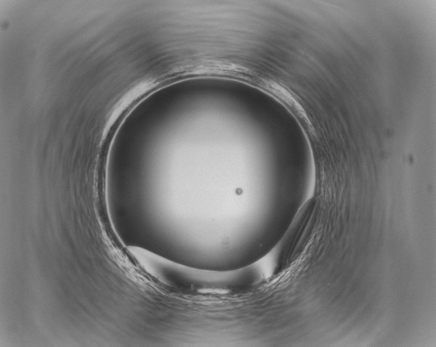 X0000059081138200510211535