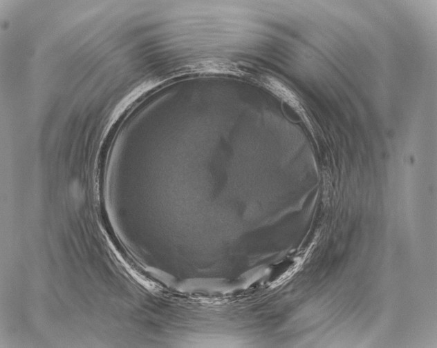 X0000059081141200510211535