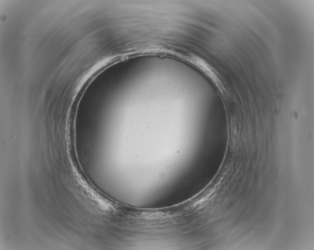 X0000059081142200510211535