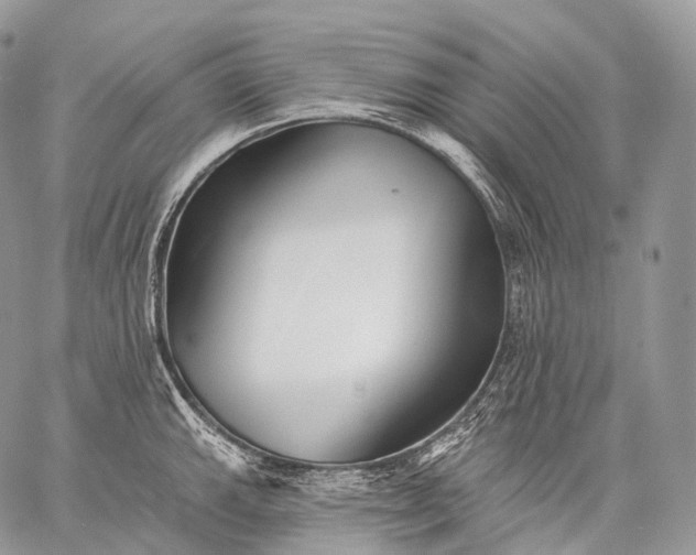 X0000059081143200510211535