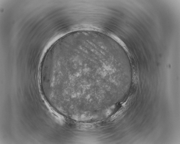 X0000059081144200510211535