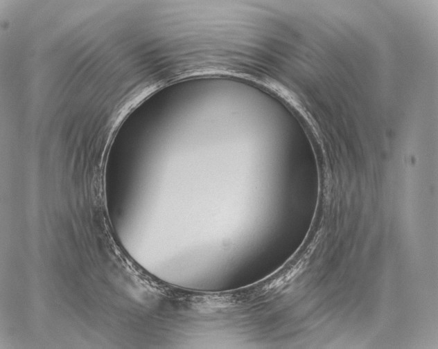 X0000059081145200510211535