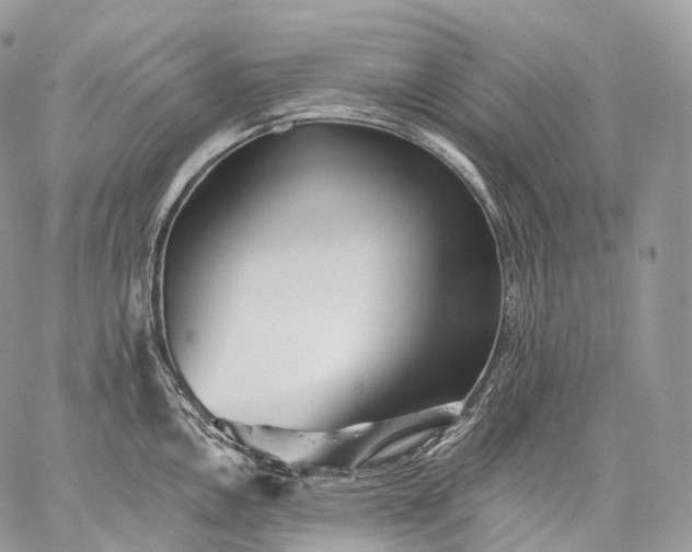 X0000059081146200510211535