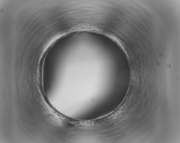 X0000059081147200510211535