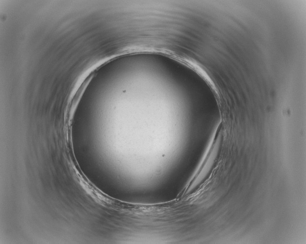 X0000059081148200510211535