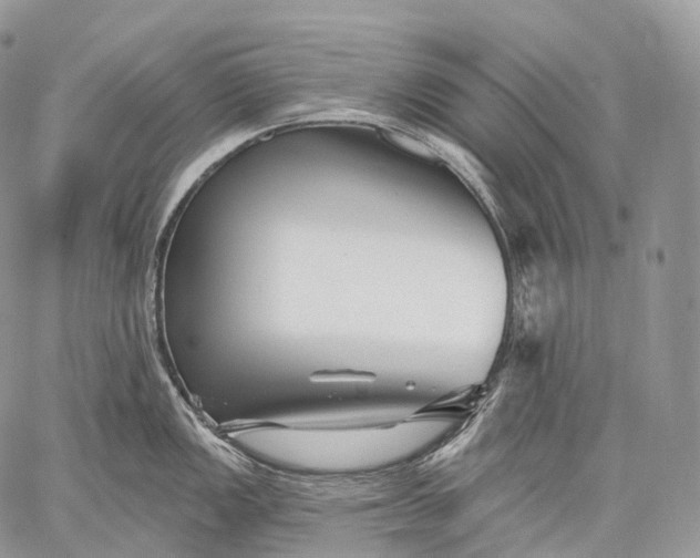 X0000059081149200510211535