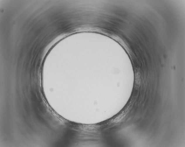 X0000059081150200510211535