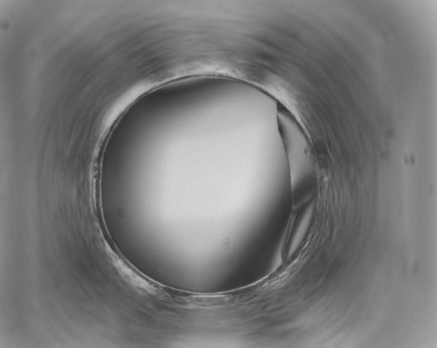 X0000059081151200510211535