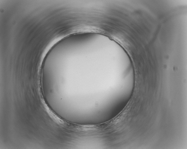 X0000059081152200510211535