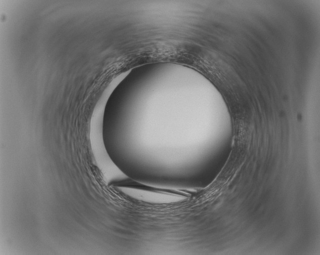 X0000059081153200510211535