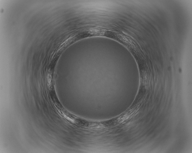 X0000059081154200510211535