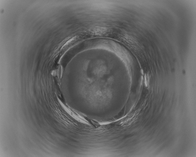 X0000059081155200510211535