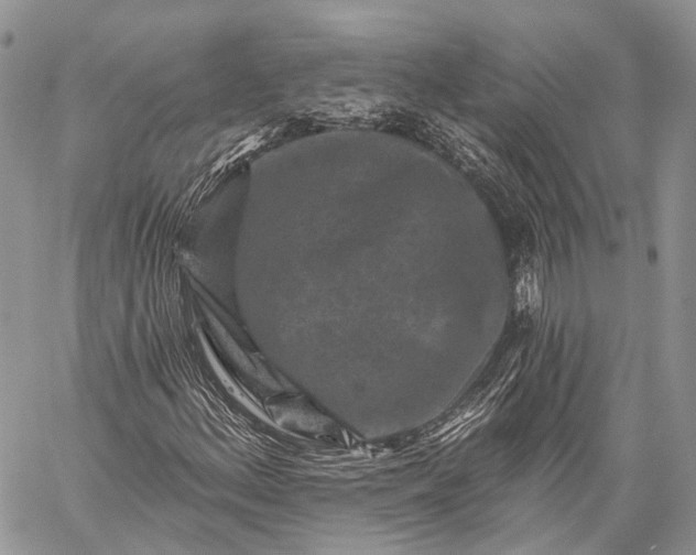 X0000059081156200510211535